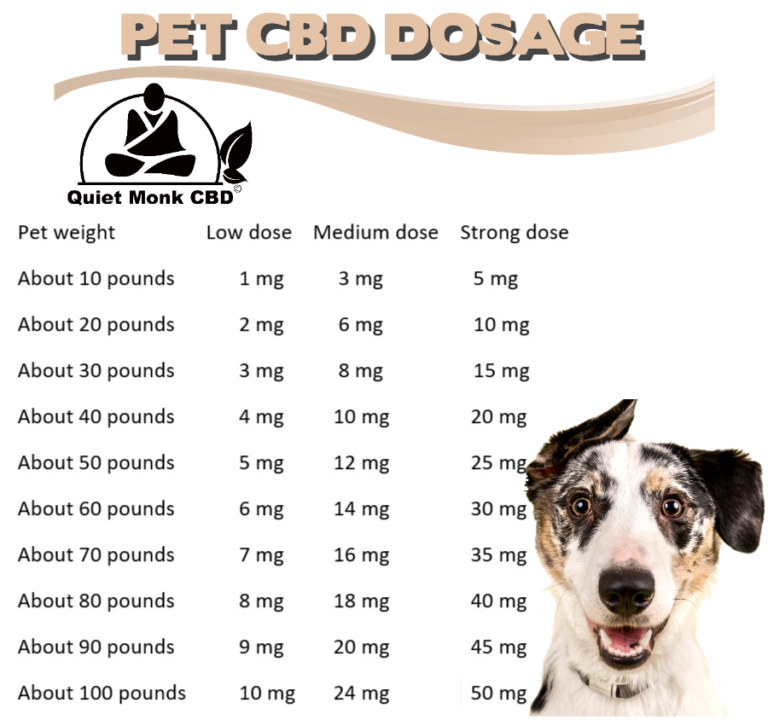 What CBD Dosage Should I Give My Dog or Cat? - CBD Doses for Pets Explained - Quiet Monk CBD