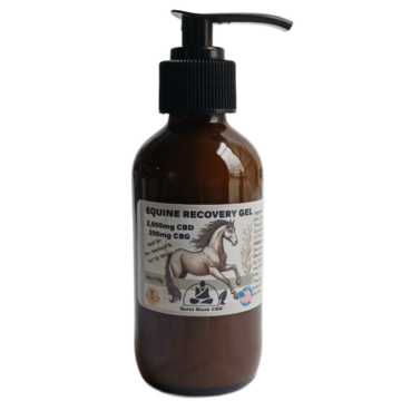 Quiet Monk Equine CBD Recovery Gel Regular